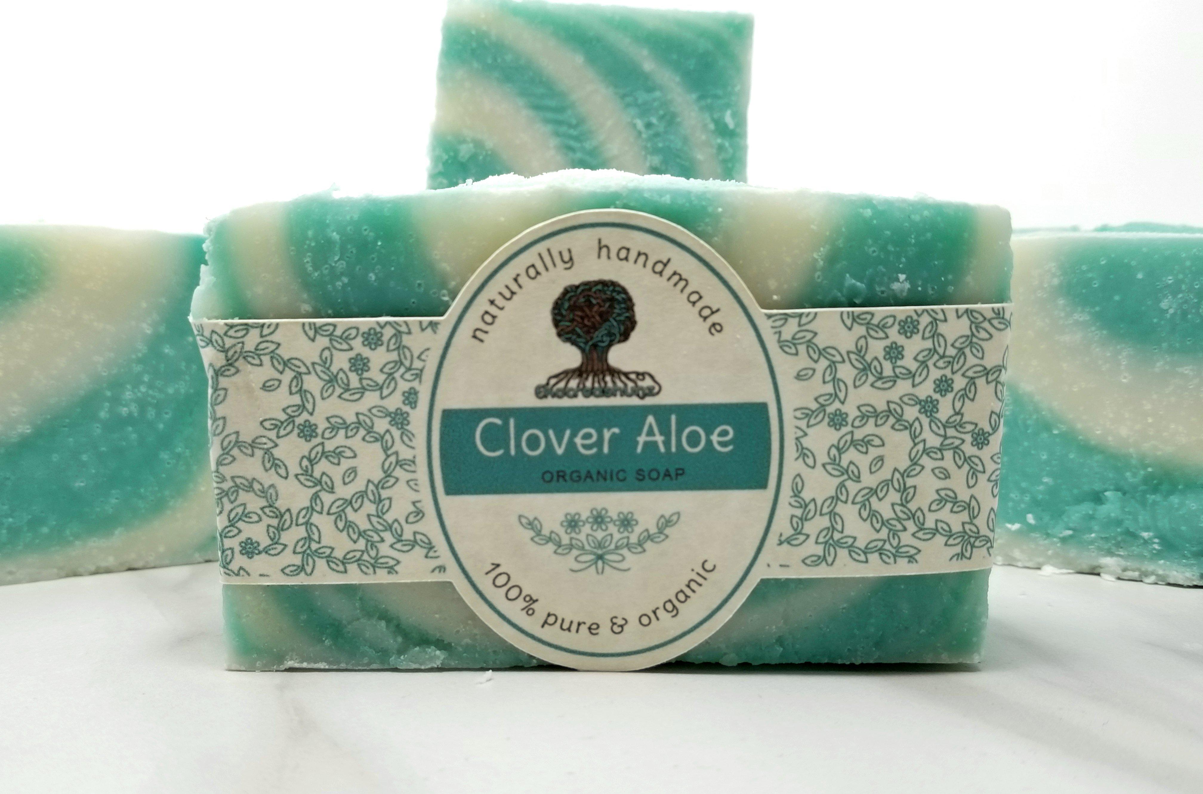 Clover Aloe